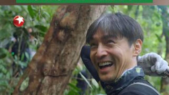 兰花的生命力到底有多顽强？#胡歌 ：只要给它一点点空间，它的生命力就能够延续！#一路前行2