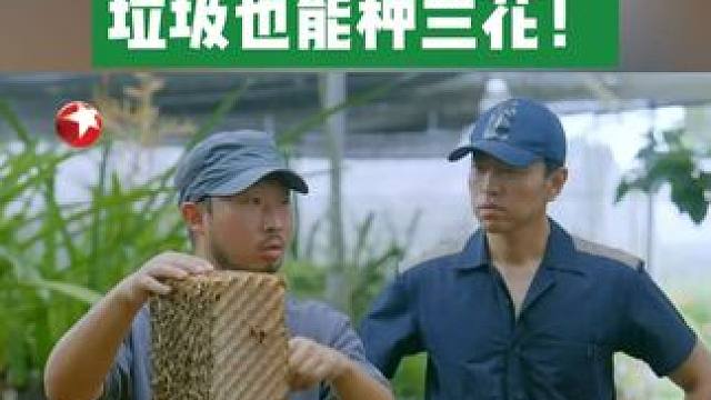 原以为垃圾只能进垃圾桶，没想到它摇身一变，成了培育绝美兰花的 “秘密武器”！这样的废物再利用太绝了！