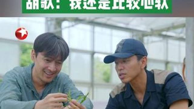 看到翠绿色生机盎然的兰花苗被淘汰，#胡歌  看着手中的苗心生不忍，表示自己还是比较心软 #一路前行2