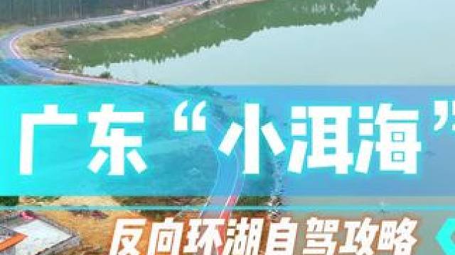 再也不用挤大理！广东这个「小洱海」180°环湖反穿攻略，显岗水库不走回头路，视频后面有详细路线指引，