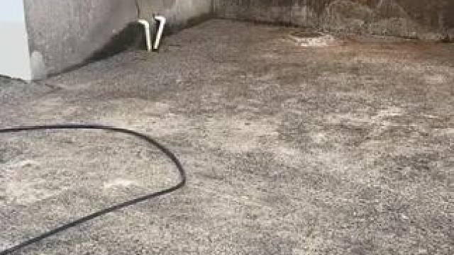 我发布了一个新视频，快来围观吧！