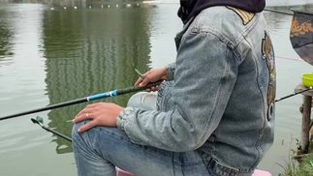 广州蔡一大非，下午场，快来直播间！#钓鱼 #黑坑钓罗非 #罗非 #钓鱼人就是这么疯狂