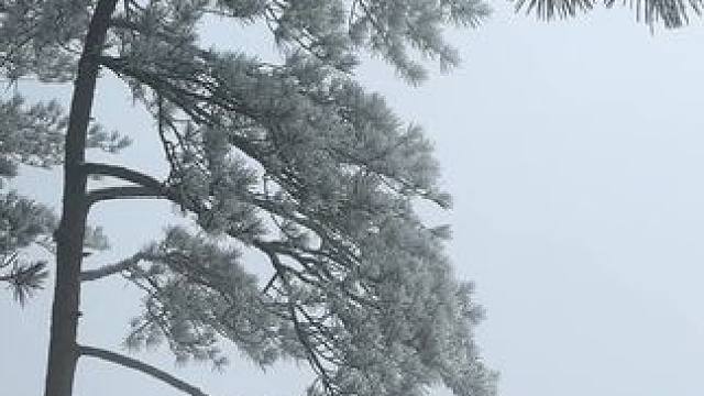 人间初雪，天地寒凉，在平凡的尘世里，可以不要风光，但一定要健康！#旅行推荐官 #周边游 #带你看雪景