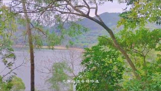 #随走随拍大自然的美 #