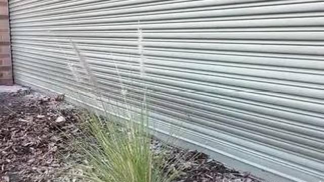 我发布了一个新视频，快来围观吧！