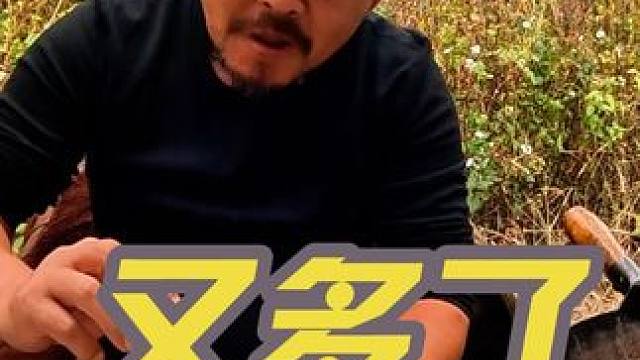 沙大厨又把自己喝多了，下集#露营美食 #露营 #野炊