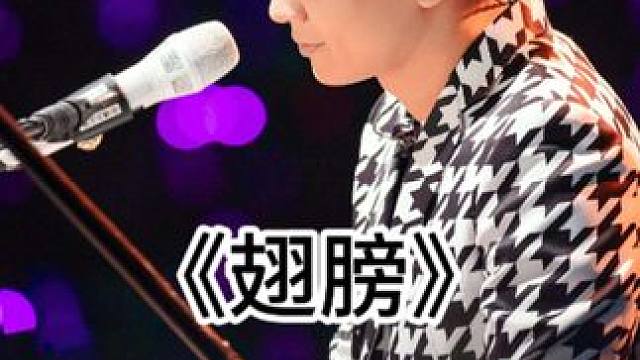 《翅膀》 用你给我的翅膀飞，我懂这不是伤悲 #戴耳机效果更佳 #单曲循环