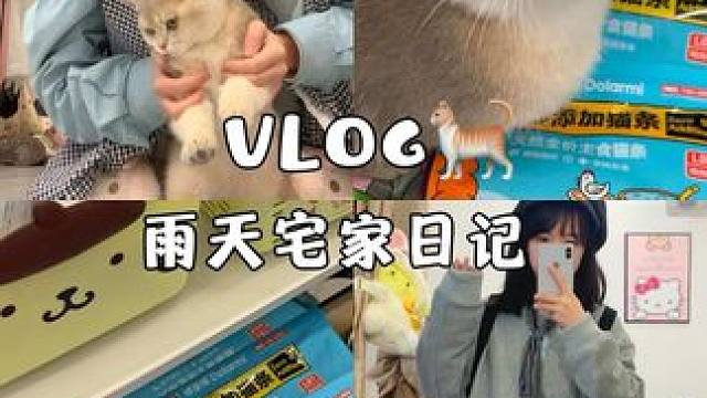 经常用的猫砂的店也出了猫条耶！#萌宠vlog #ootd #日常vlog #谁不为小猫咪着迷呢