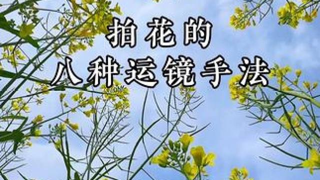 分享拍花常用的八种运镜手法，学会随手一拍都是大片#拍花技巧 #又到了赏花拍照的季节 #油菜花 #春天