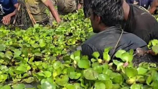 渔民日常#捕鱼#户外捕鱼