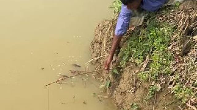 日常钓一钓#钓鱼#户外钓鱼