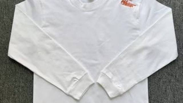 一眼就爱上的长袖！这个小几十就拿下的打底长袖颜值是真的高！简约高级，质感非常棒，打底单传都很不错#开