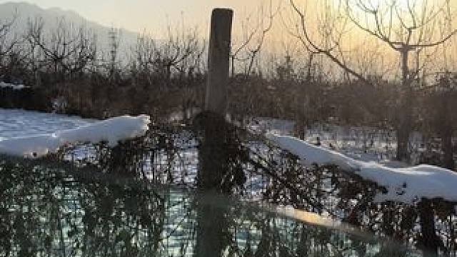 恍恍惚惚  I can't love you in the dark #日落 #风景