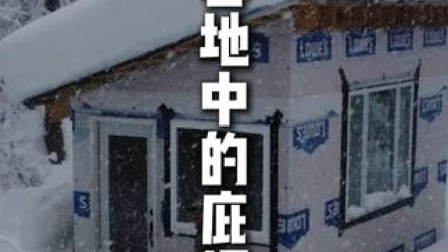 深雪地中的庇护所 #野外生存 #户外露营 #极度舒适 #户外生活 #雪