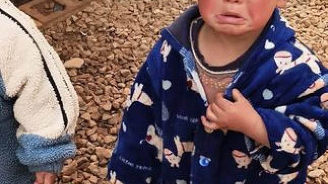 老大老二今天上学了。 #内容启发搜索