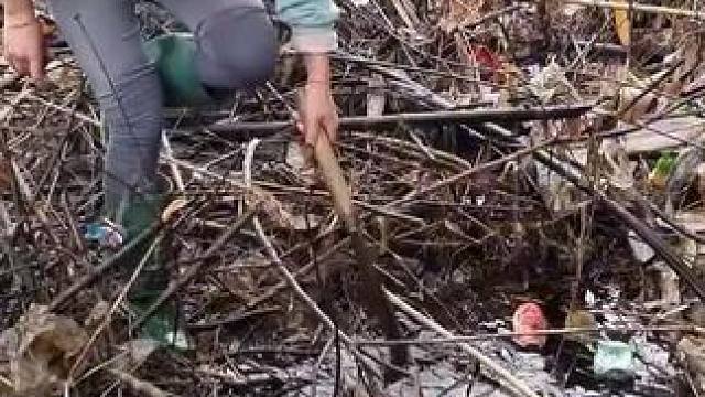 #乡下农村生活 #荒野建造 #三农 #农村生活 #美女