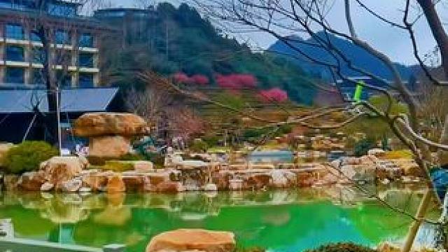 #寻一处幽静觅一份清欢 ，#风景是治愈心情的良药 。