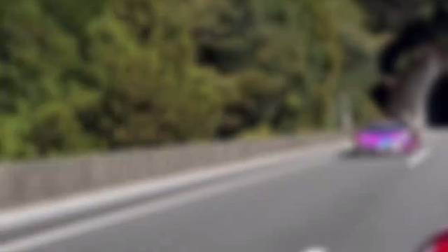 这种配色的大牛你爱了吗