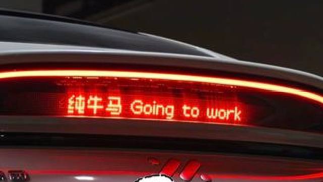 哈基智 你这家伙真是太可爱了啊#尾灯 #可爱 #开车 #买车 #真香警告