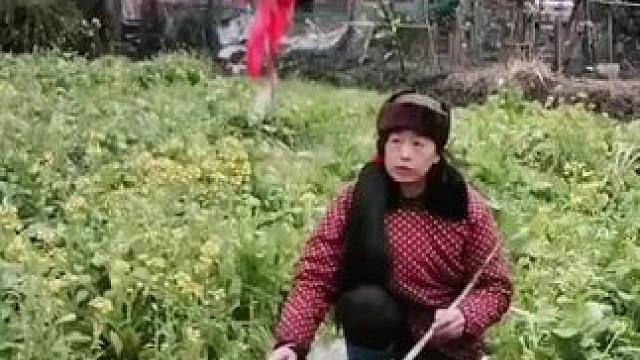 山卡卡里的农村大姐学费了开直播每天收获满满您还在恐播怕播不敢开播开播了不知说什么吗#记录真实生活 #