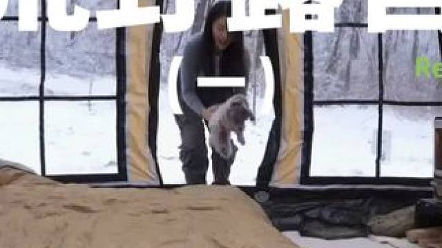 荒野露营（一）#露营 #解压 #助眠 #萌宠 #户外露营