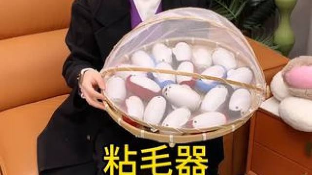 神奇的粘毛器!不仅能轻松清理头发和猫猫狗狗掉落的毛发，水一冲就干净能继续用了 #粘毛神器  #养猫人