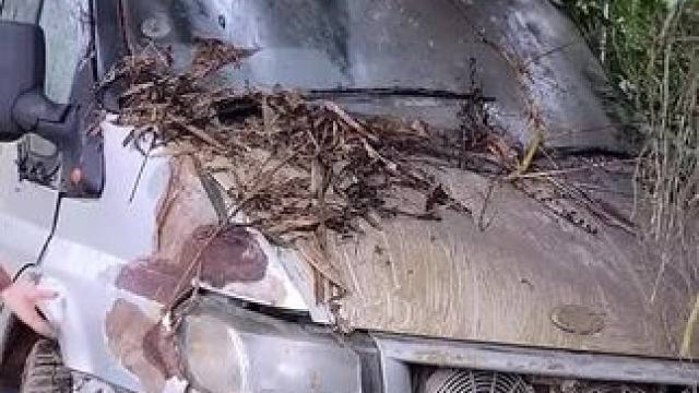 #乡下农村生活 #荒野建造 #三农 #农村生活 #美女