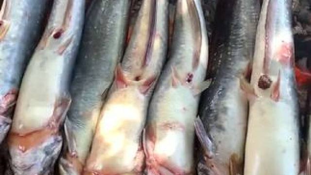 真材实料才能做出好味道~