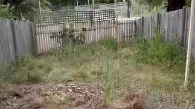 我发布了一个新视频，快来围观吧！