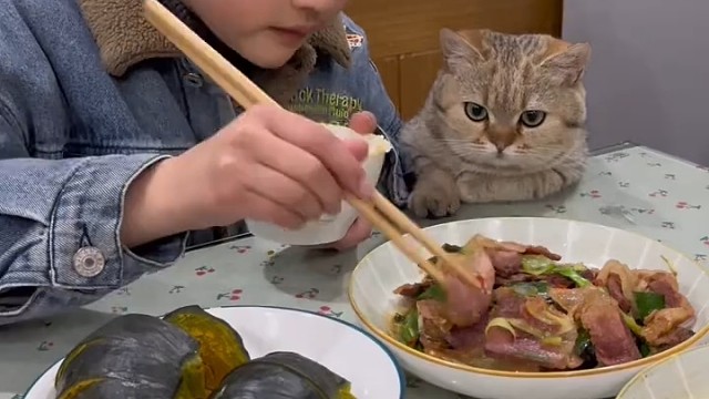 干饭猫上线，今天的鸡腿太香了