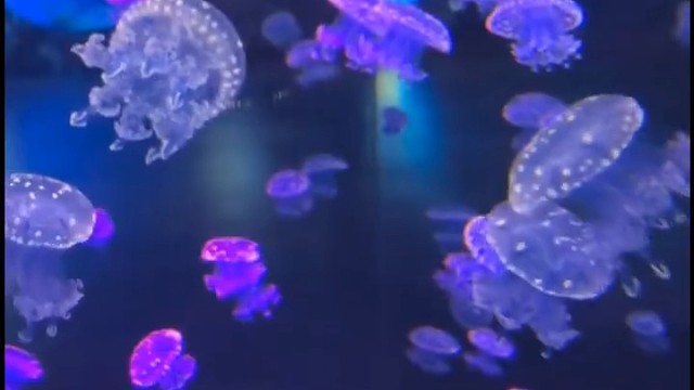 “我数过从琴房到教室，一共是108步。”