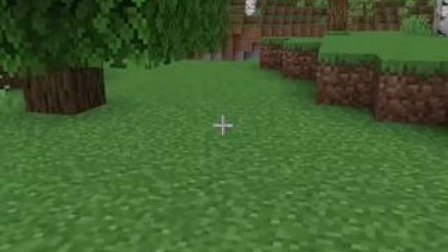 #我的世界 #Minecraft