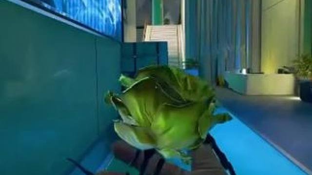 突然知道三角洲为什么摸金会火了！#三角洲行动 #三角洲黑鹰坠落上线 #三角洲行动欢乐剧场 #三角洲行