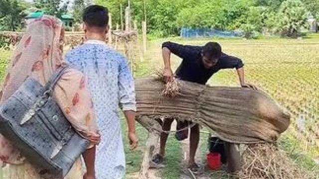 哈哈 #看一遍笑一遍 #田园生活乐趣多