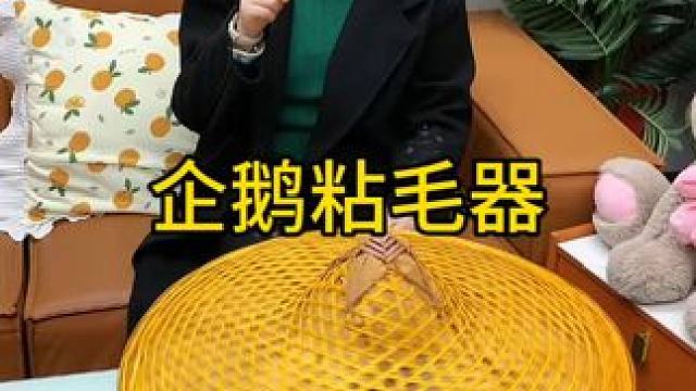 水洗粘毛器 神奇的粘毛器!不仅能轻松清理头发和猫猫狗狗掉落的毛发，水一冲就干净能继续用了 #粘毛神器