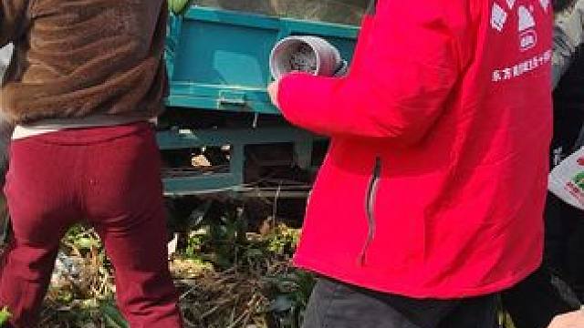 抢花的人不讲武德呢！！！
#上热门 #上热门话题 #山东青州网红 #网红垃圾场 #青州网红垃圾场捡花