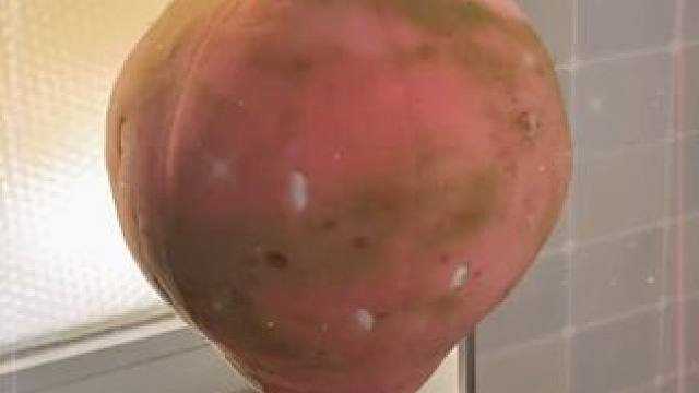 哇塞塞！终于等来了期待已久的大运河桶装皂粉！还是新升级的栀子花香味的！去污能力强，洗完的衣服又香又软