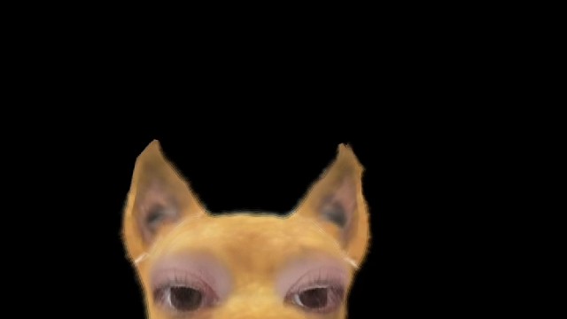 衿衿子什么时候上班呀