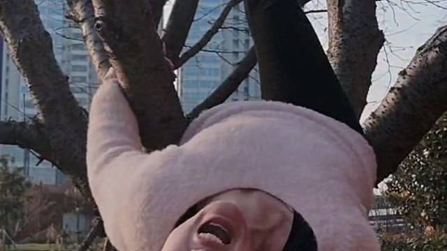 倒挂树加整活