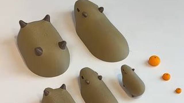 这么萌的卡皮巴拉不得把我朋友迷成制丈~ #玩个很新的东西  #卡皮巴拉