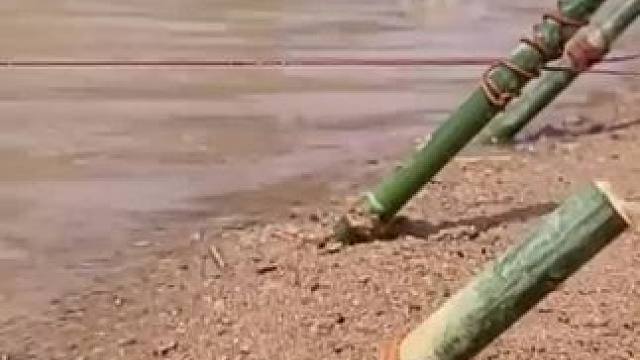 户外野钓 #户外钓鱼#户外野钓 #钓鱼人就是这么疯狂