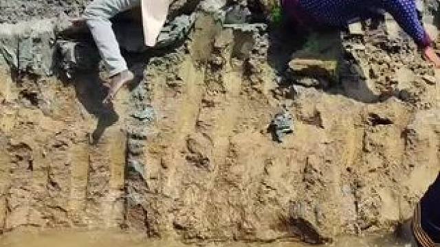 哈哈 #田园生活乐趣多 #给生活找点乐子 #看一遍笑一遍