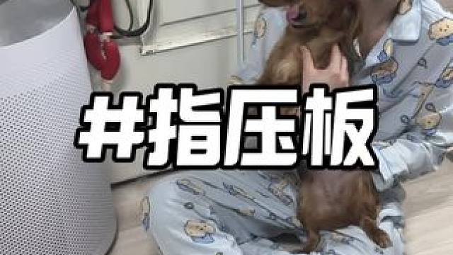 指压板挑战 买来运动的韩国男友非要上去尝试 #铲屎官的乐趣 #被迫营业的狗子 #中韩情侣