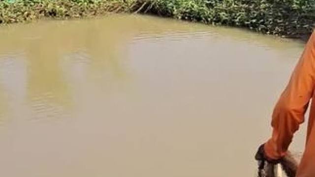 撒网捕鱼#户外捕鱼 #捕鱼#撒网捕鱼