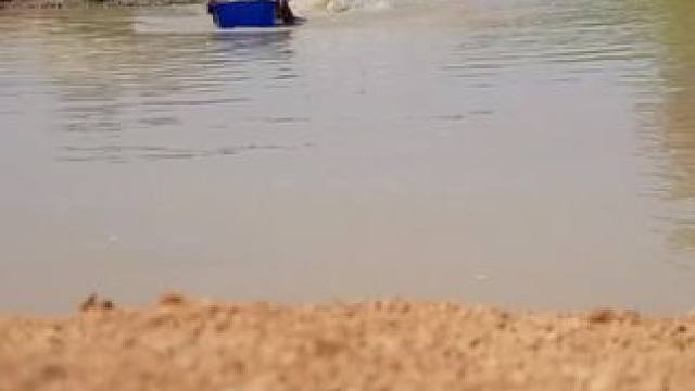 玩的就是心❤️跳#抓鱼#徒手抓鱼 #玩的就是心跳 #玩泥巴的最高境界