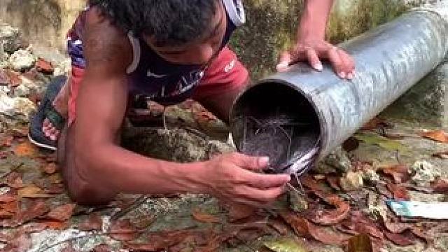 轻松抓鱼#抓鱼 #抓鱼大哥抓大鱼 #原来抓鱼也可以很轻松