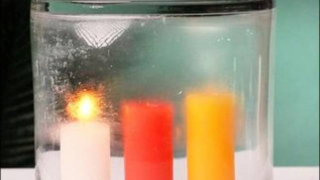 人工智能时代，从小培养孩子的科学思维，打下坚实的物理化基础，提升孩子认知。#科学育儿 #物理启蒙 #