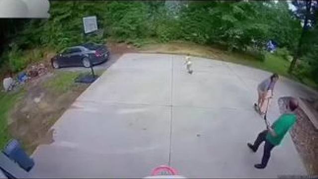 我发布了一个新视频，快来围观吧！