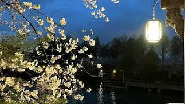 赶紧来好NEO这个贵妇日抛的大羊毛！#三明治工艺的美瞳 #美瞳 #超便宜超划算 #日抛