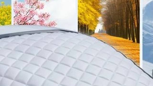 汽车遮雪挡前挡玻璃加大加厚款棉磁吸挡罩车窗防霜防冻布冬季车衣
 
 #车衣 #汽车雪挡 #车衣车罩 